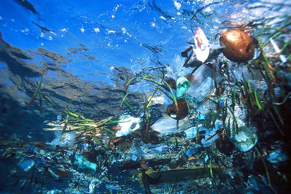plastic ocean trash